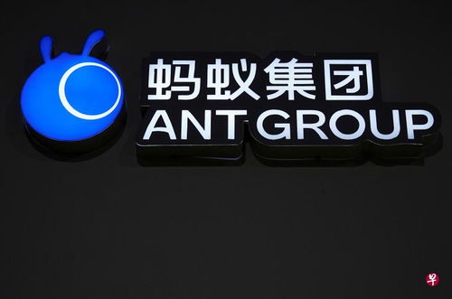 下午察 熱鍋上的螞蟻