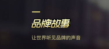 案例分享 定制化品牌產品