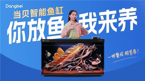 當(dāng)貝智能魚缸創(chuàng)意廣告席卷北上廣深 多地強(qiáng)勢上線